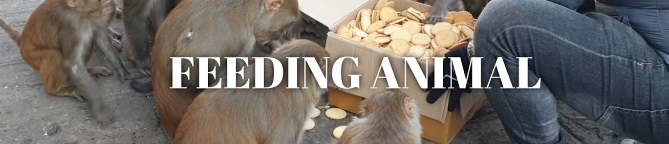FEEDING ANIMAL